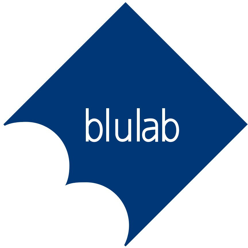 Blulab - Ente di Formazione | Accreditato Regione Campania